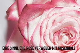 Miss Dior Rose Miss Dior