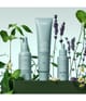 Aveda Scalp Solutions Haarkur 50 ml 018084040744 visual-shot_de