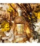 Produktbild 3 von 6, GUERLAIN Aqua Allegoria Eau de Parfum