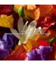 GUERLAIN Aqua Allegoria Eau de Parfum 75 ml 3346470148079 visual-shot_de