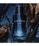 DIOR Sauvage Parfum 60 ml 3348901728829 visual-shot_de