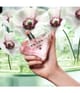 Prada Paradoxe Eau de Parfum 50 ml 3614274000566 visual-shot_de