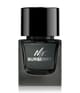 Produktbild 1 von 2, Burberry Mr. Burberry Eau de Parfum
