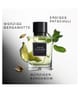 Produktbild 5 von 6, David Beckham Instinct Eau de Parfum