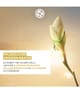 Yves Rocher Anti-Âge Global Nachtcreme 50 ml 3660005403021 detail-shot_de