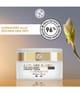 Yves Rocher Anti-Âge Global Nachtcreme 50 ml 3660005403021 pack-shot_de