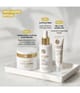 Yves Rocher Anti-Âge Global Gesichtscreme 75 ml 3660005561103 visual2-shot_de