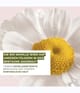 Yves Rocher Pure Calmille Gesichtscreme 125 ml 3660005789248 detail-shot_de