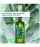 Yves Rocher Anti-Haarausfall Haarshampoo 300 ml 3660005985565 pack-shot_de