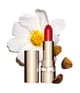Produktbild 3 von 5, CLARINS Joli Rouge Lippenstift