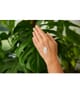 Weleda Sanddorn Handcreme 50 ml 4001638523028 visual2-shot_de