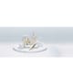 Zwilling Premium Nagelhautschere Nagelhautentferner 1 Stk 4009839494567 visual-shot_de