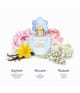 Betty Barclay Pure Flower Eau de Parfum 20 ml 4011700339112 visual2-shot_de