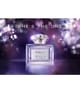 Baldessarini Bella Eau de Parfum 30 ml 4011700905157 visualImage