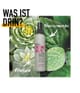 Produktbild 3 von 6, KMS THERMASHAPE Hitzeschutzspray