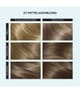Produktbild 2 von 6, Clairol Color Studio Haarfarbe