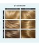 Produktbild 2 von 6, Clairol Color Studio Haarfarbe