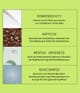Produktbild 4 von 5, Nioxin System 2 Leave-in-Treatment