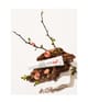 Produktbild 2 von 3, HelloBody ROSE SOS Pickeltupfer