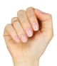 Miss Sophie UV Gel Wraps Nagelfolie 20 Stk 4260453596291 detail-shot_de