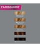 JOHN FRIEDA Precision Foam Colour Haarfarbe 1 Stk 5037156175868 visual-shot_de
