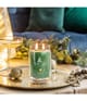 Produktbild 3 von 4, Yankee Candle Shimmering Christmas Tree Duftkerze