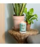 Produktbild 2 von 3, Yankee Candle Aloe & Agave Duftkerze
