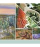 Produktbild 3 von 3, Yankee Candle Aloe & Agave Duftkerze