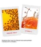 Smashbox Photo Finish Primer 10 ml 607710099159 visual-shot_de