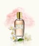 Produktbild 3 von 3, WIDIAN Rose Arabia Collection Eau de Parfum