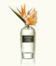 Produktbild 3 von 3, WIDIAN Rose Arabia Collection Eau de Parfum