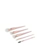 Zoë Ayla Complete Eye & Face Brush Kit Pinselset 1 Stk 686012020191 detail-shot_de