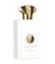 Amouage Iconic Eau de Parfum 100 ml 701666410157 pack-shot_de
