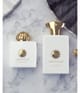 Amouage Iconic Eau de Parfum 100 ml 701666410157 visual2-shot_de