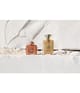 Amouage Extrait Collection Parfum 100 ml 701666410966 visual2-shot_de