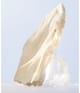 BVLGARI Omnia Eau de Toilette 30 ml 783320420580 visual2-shot_de