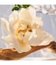 Produktbild 4 von 6, BVLGARI Omnia Eau de Parfum