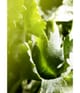 BVLGARI Man Eau de Parfum 60 ml 783320461019 visual3-shot_de