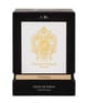 Tiziana Terenzi Ecstasy Parfum 100 ml 8016741952203 pack-shot_de