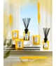 Produktbild 4 von 4, Acqua di Parma Room Diffuser Raumduft