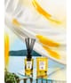 Acqua di Parma Room Diffuser Raumduft 180 ml 8028713620607 visual-shot_de