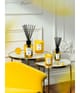 Acqua di Parma Room Diffuser Raumduft 180 ml 8028713620607 visual2-shot_de