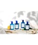 Produktbild 5 von 5, Acqua di Parma Blu Mediterraneo Bodylotion