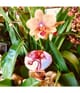 Produktbild 6 von 6, THoO Klem Garden Collection Eau de Parfum
