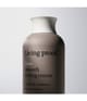 Produktbild 5 von 6, Living Proof No Frizz Stylingcreme