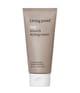 Produktbild 1 von 6, Living Proof No Frizz Stylingcreme
