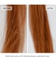 Produktbild 2 von 6, Fekkai Super Strength Haarmaske
