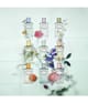 Produktbild 4 von 5, Prada Les Infusions Eau de Parfum