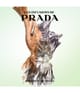 Produktbild 5 von 5, Prada Les Infusions Eau de Parfum