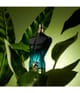 Produktbild 6 von 6, Jean Paul Gaultier Le Beau Eau de Parfum